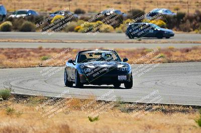 media/Nov-16-2024-Extreme Speed (Sat) [[6587d07cc4]]/Gold Group/Session 2 (Turns 3 and 5)/